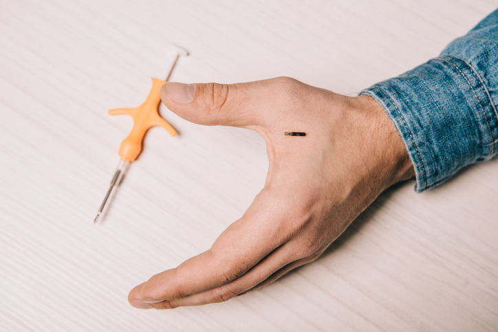 microchip and syringe for microchipping on table